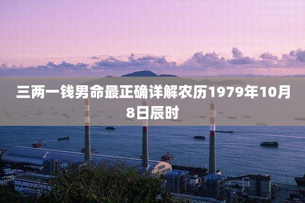 三两一钱男命最正确详解农历1979年10月8日辰时