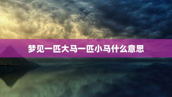 梦见一匹大马一匹小马什么意思