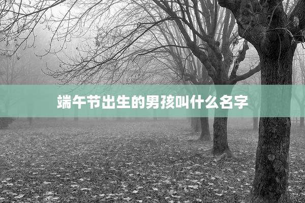 端午节出生的男孩叫什么名字