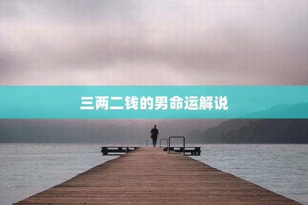 三两二钱的男命运解说