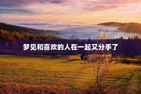 梦见和喜欢的人在一起又分手了