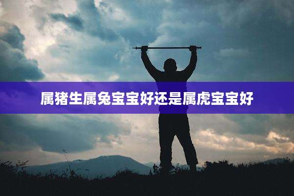 属猪生属兔宝宝好还是属虎宝宝好