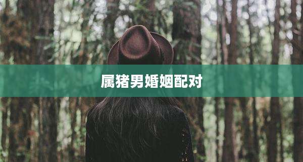属猪男婚姻配对