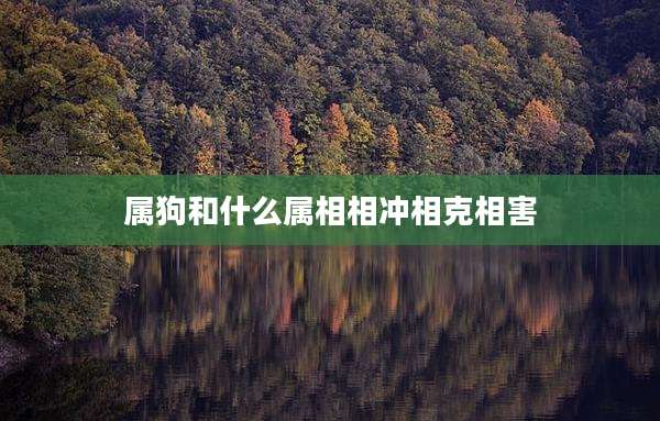 属狗和什么属相相冲相克相害