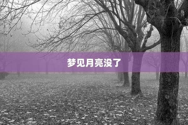 梦见月亮没了