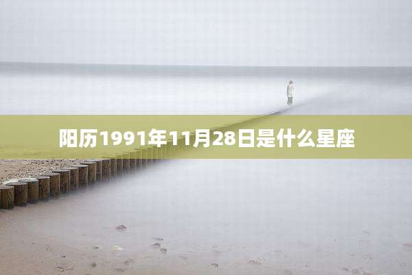 阳历1991年11月28日是什么星座