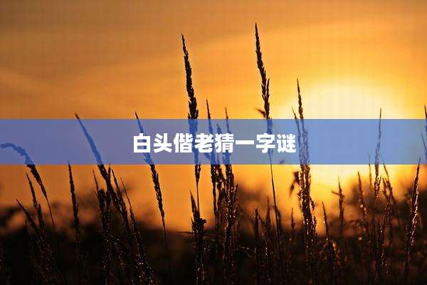 白头偕老猜一字谜
