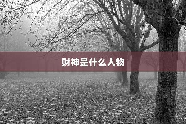 财神是什么人物