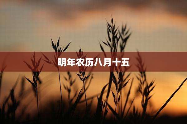 明年农历八月十五