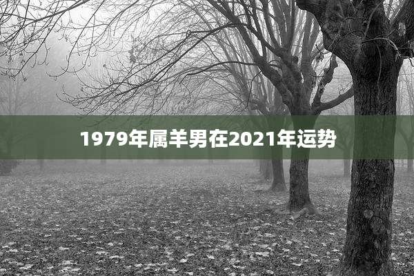 1979年属羊男在2021年运势