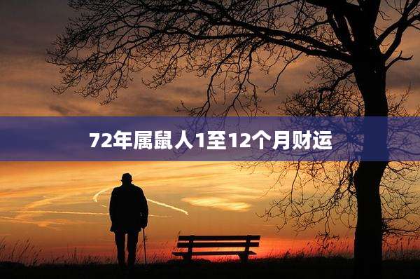 72年属鼠人1至12个月财运