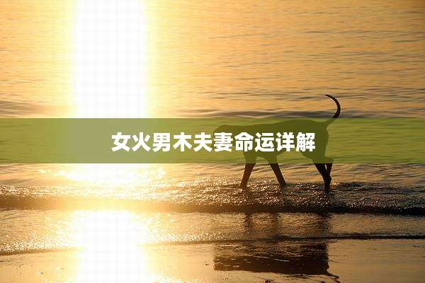 女火男木夫妻命运详解