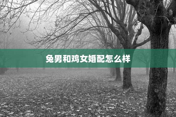 兔男和鸡女婚配怎么样