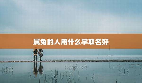 属兔的人用什么字取名好