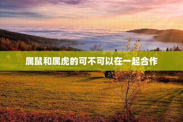 属鼠和属虎的可不可以在一起合作