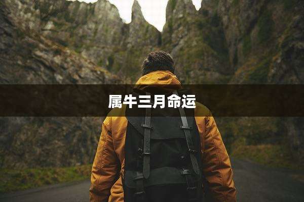 属牛三月命运