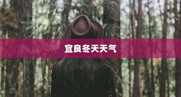 宜良冬天天气