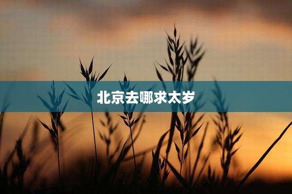 北京去哪求太岁