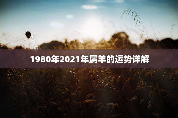 1980年2021年属羊的运势详解