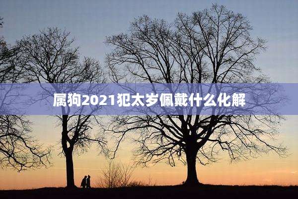 属狗2021犯太岁佩戴什么化解