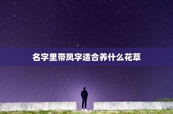 名字里带凤字适合养什么花草