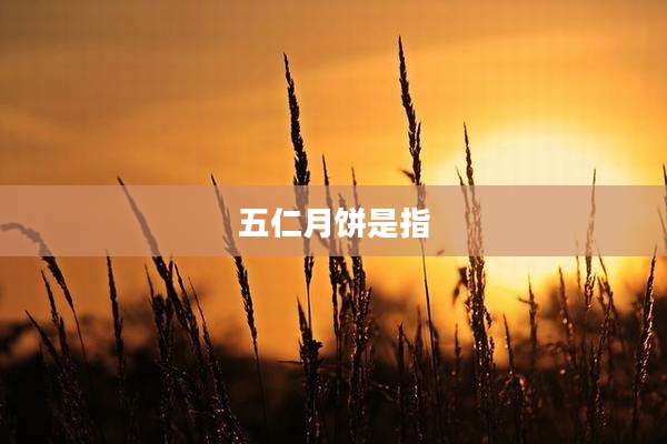 五仁月饼是指