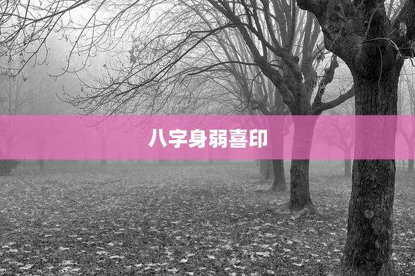 八字身弱喜印
