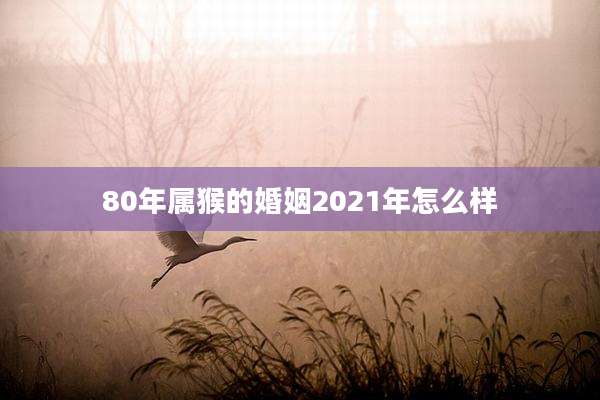 80年属猴的婚姻2021年怎么样