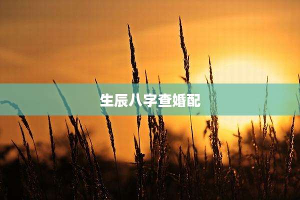 生辰八字查婚配