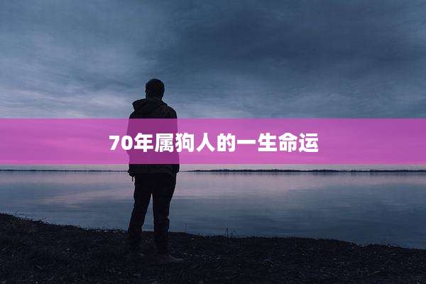 70年属狗人的一生命运