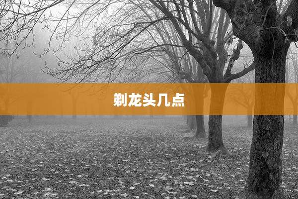 剃龙头几点