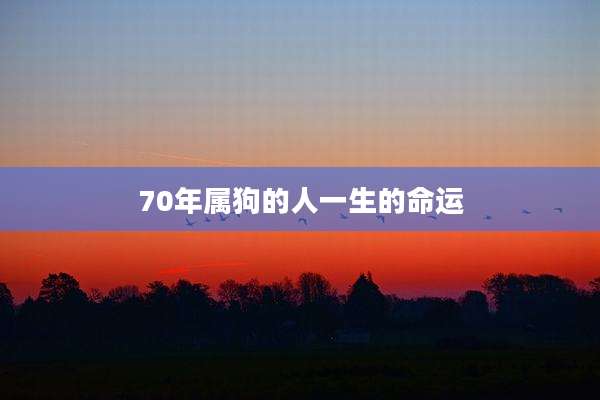 70年属狗的人一生的命运