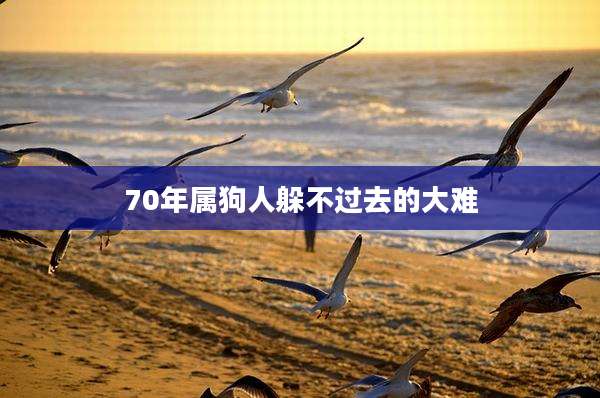 70年属狗人躲不过去的大难