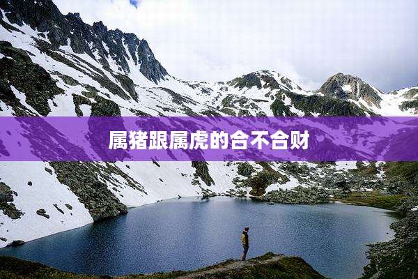 属猪跟属虎的合不合财