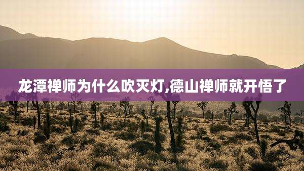 龙潭禅师为什么吹灭灯,德山禅师就开悟了
