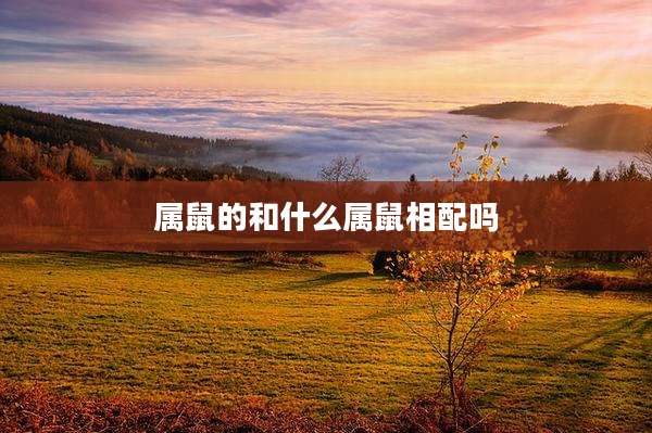 属鼠的和什么属鼠相配吗
