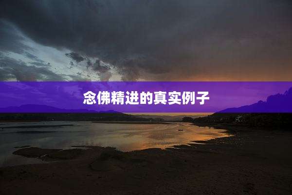 念佛精进的真实例子