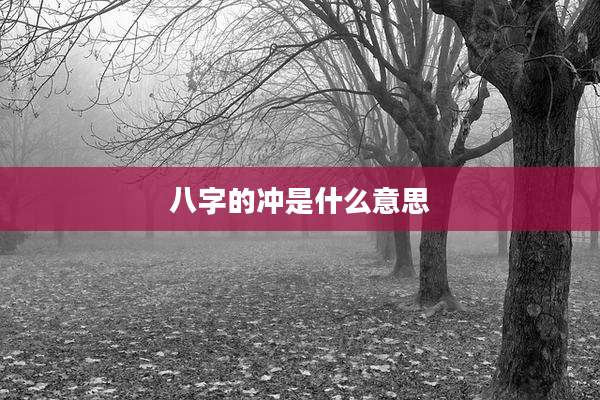 八字的冲是什么意思