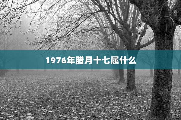 1976年腊月十七属什么