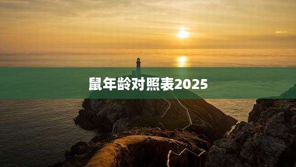 鼠年龄对照表2025