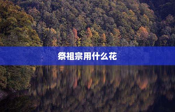 祭祖宗用什么花
