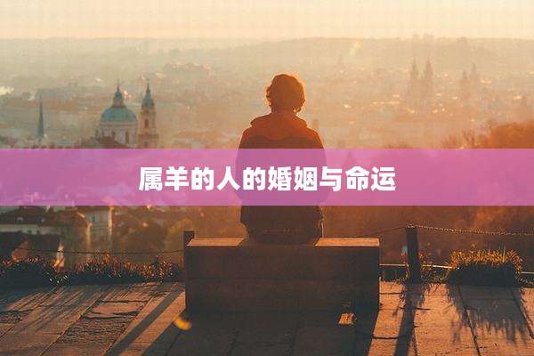属羊的人的婚姻与命运