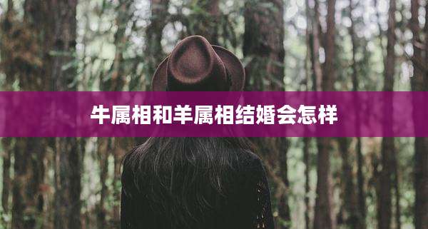 牛属相和羊属相结婚会怎样