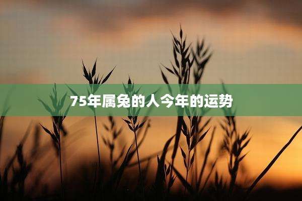 75年属兔的人今年的运势