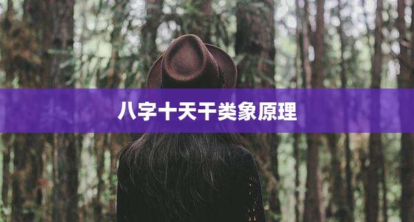 八字十天干类象原理