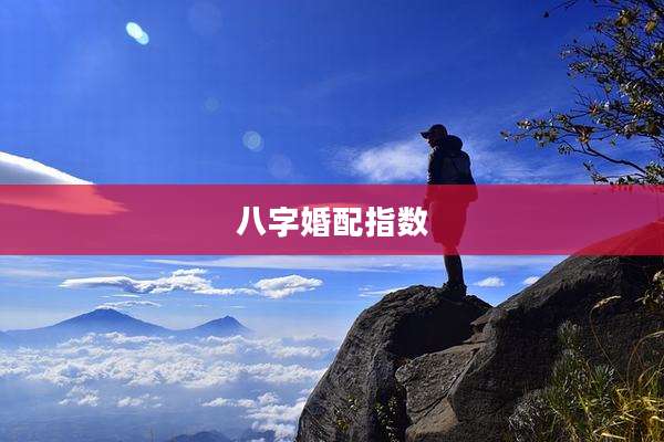 八字婚配指数