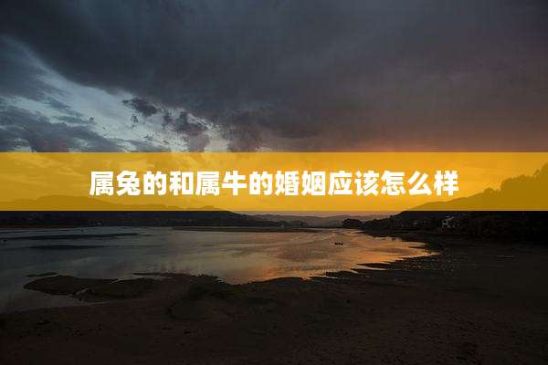 属兔的和属牛的婚姻应该怎么样