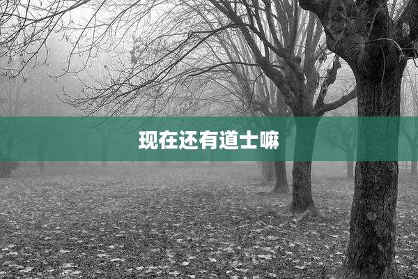 现在还有道士嘛