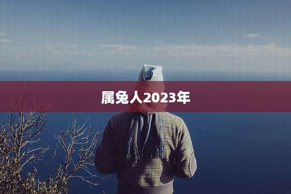 属兔人2023年