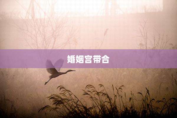 婚姻宫带合